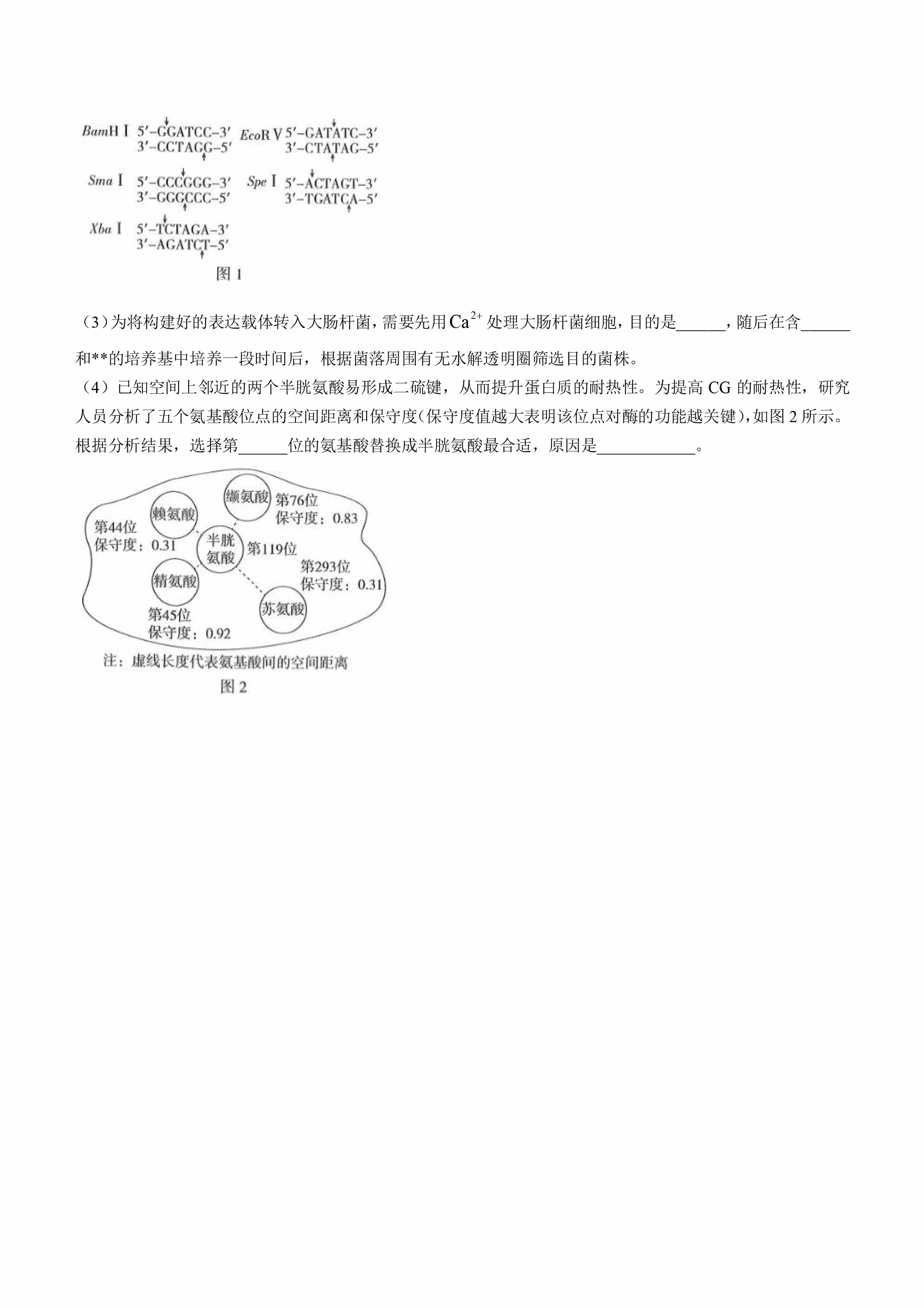 精品解析：2025年高考河南卷生物高考真题解析（参考版）-8