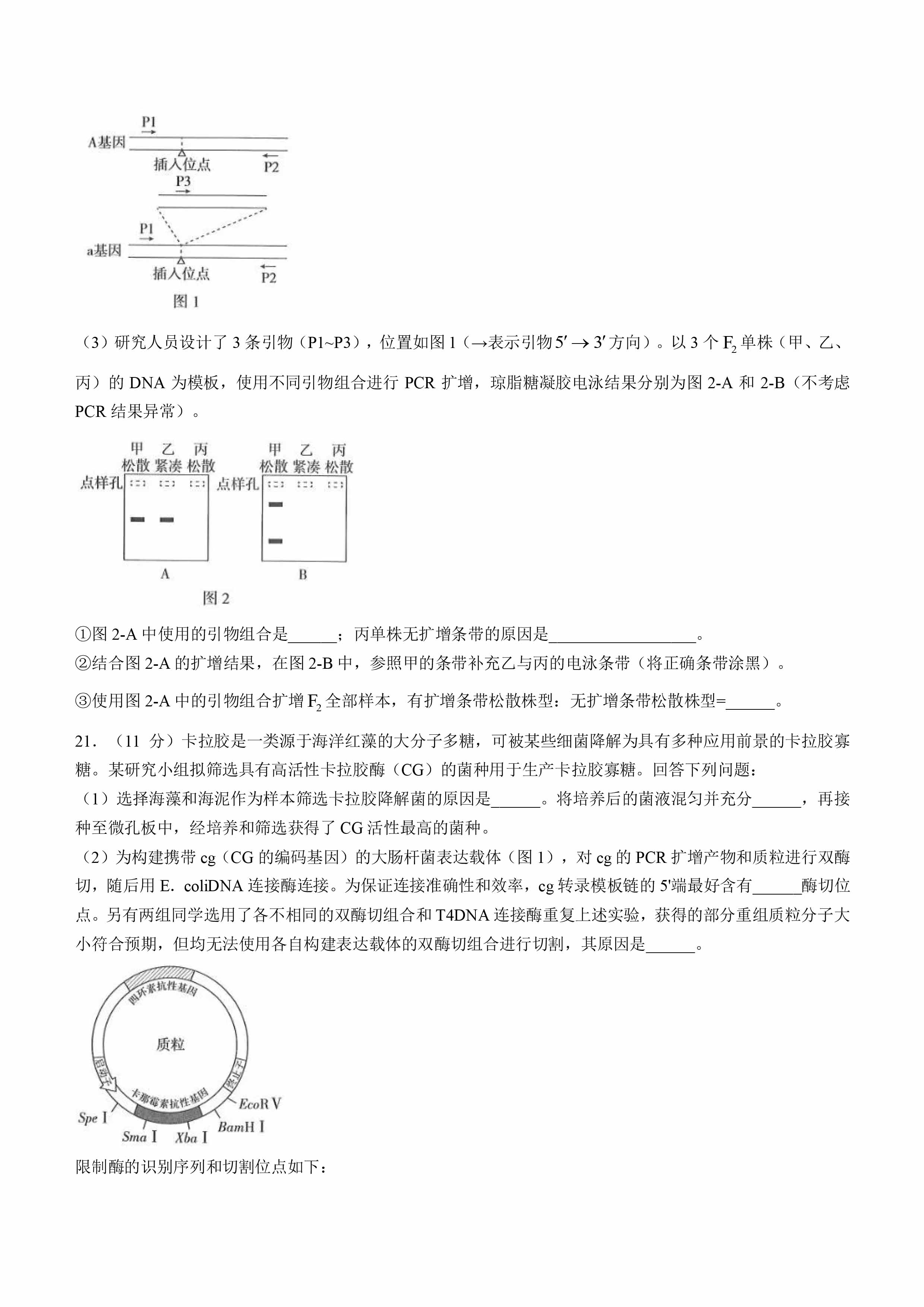 精品解析：2025年高考河南卷生物高考真题解析（参考版）-7